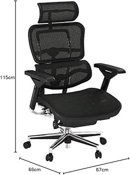 Amazon.co.jp: 【旧型】 エルゴヒューマン ベーシック オフィスチェア