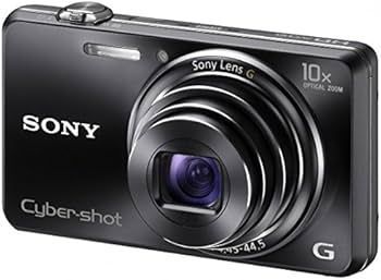 Amazon.com : Sony Cybershot WX100 18.2 Megapixel 10xzoom Black