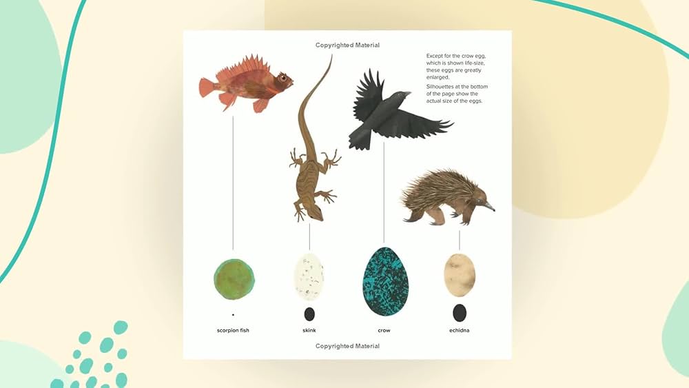 Egg: Nature's Perfect Package: Page, Robin, Jenkins, Steve