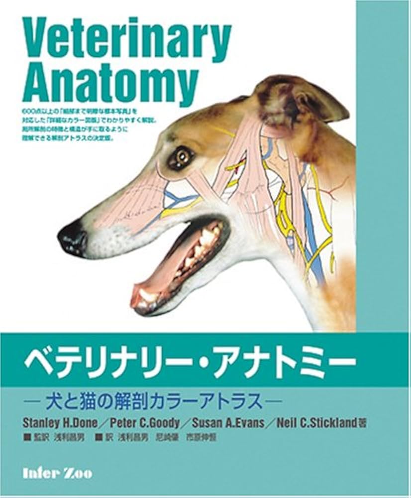 新イヌとネコの臨床解剖カラーアトラス チクサン出版社 DOG and CAT