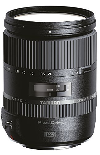 Amazon.com : Tamron 28-300 mm Di VC PZD Lens For Nikon DSLR