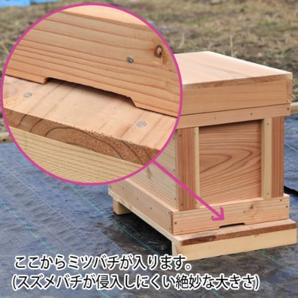 Amazon.co.jp: 巣箱：石田式 ニホンミツバチ捕獲箱【本格派向け