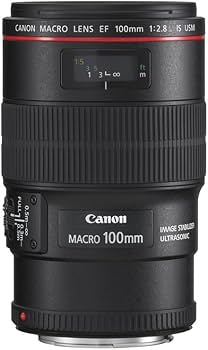 Amazon.co.jp: Canon EFレンズ EF100mm F2.8L マクロ IS USM マクロ