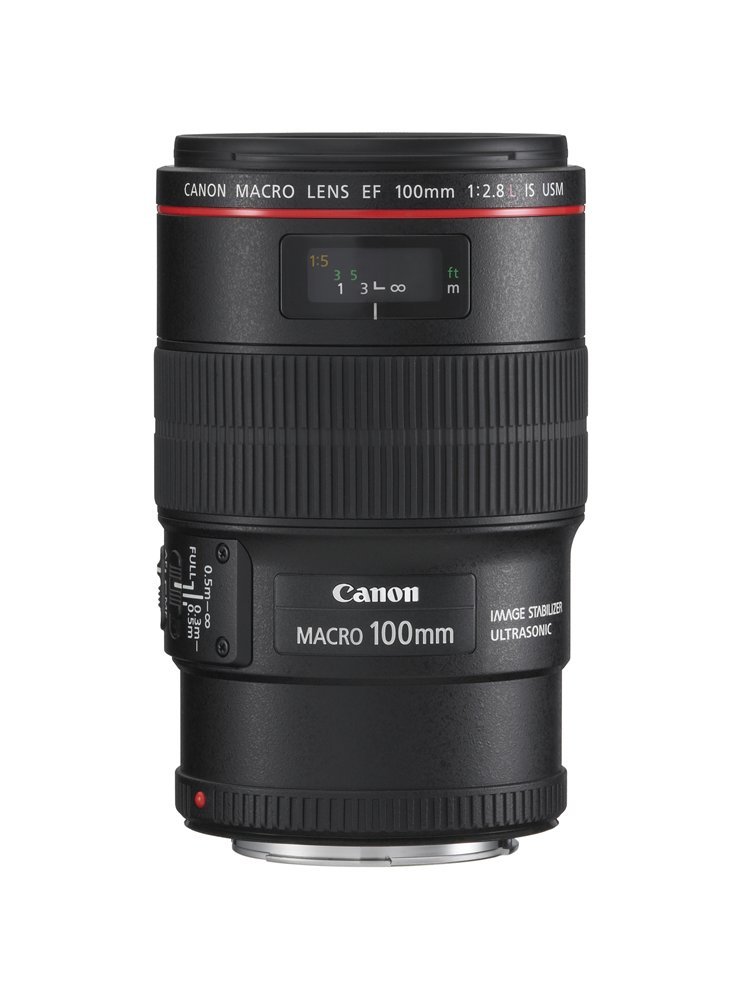 Amazon.co.jp: Canon EFレンズ EF100mm F2.8L マクロ IS USM マクロ