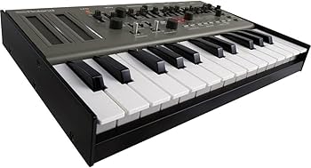 Amazon | Roland SH-01A ブティックシンセサイザー クラシックSH-101