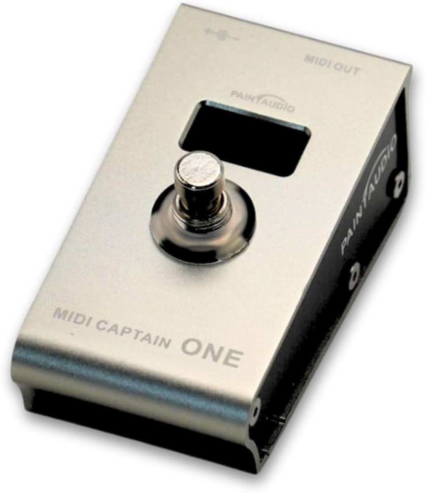 Amazon.com: PAINTAUDIO Paint Audio MIDI Captain ONE MIDI Foot