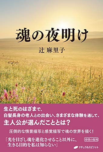 辻麻里子の作品一覧・新刊・発売日順 - 読書メーター