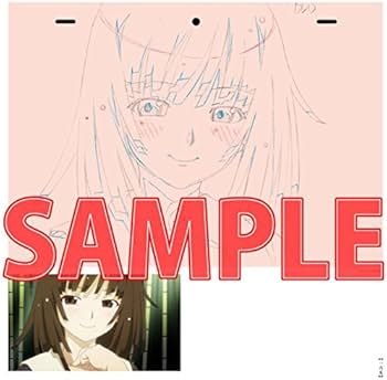 Amazon.co.jp: 化物語 KEY ANIMATION NOTE 下巻 : 本