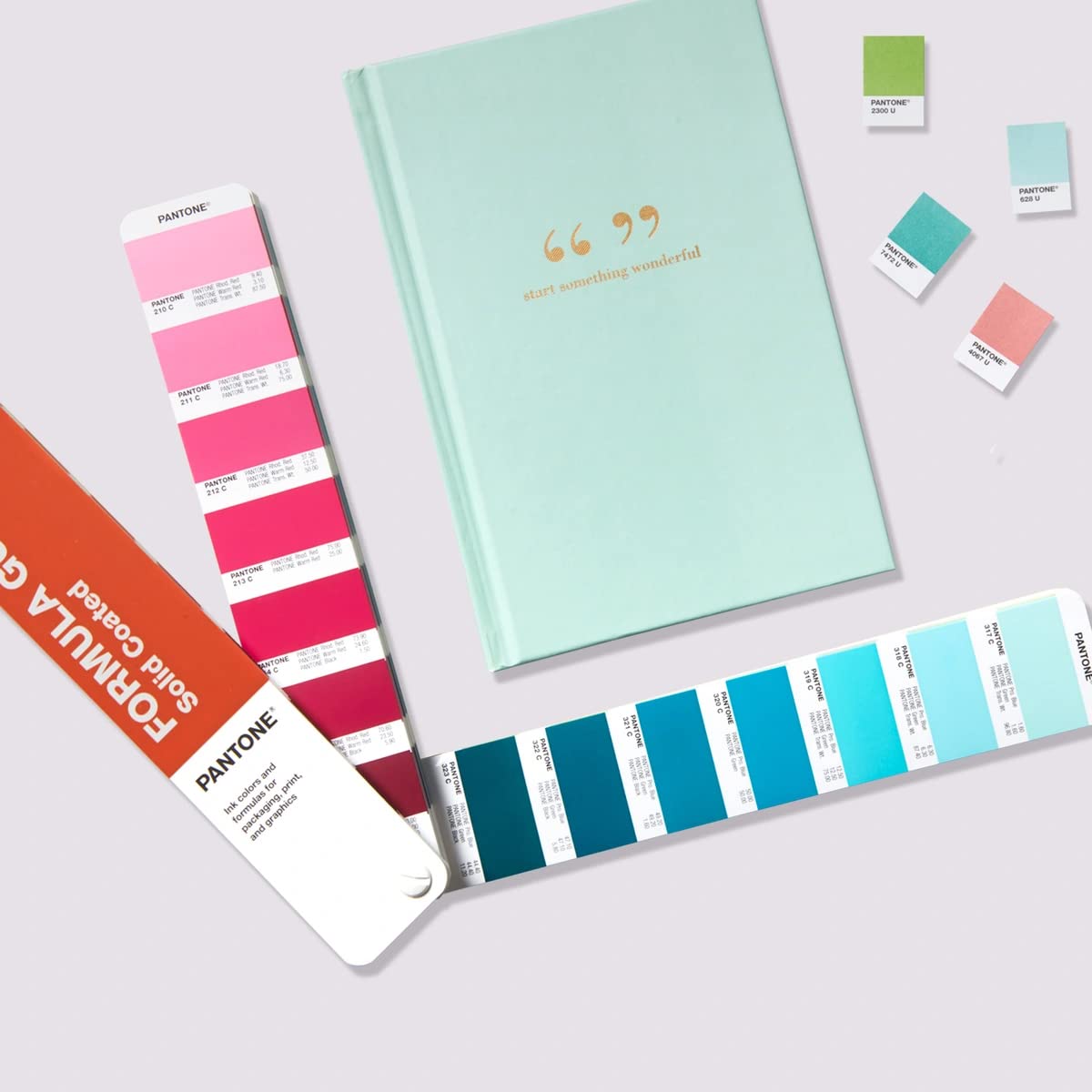 PANTONE Formula Guide - Coated and Uncoated GP1601B : Amazon.ca