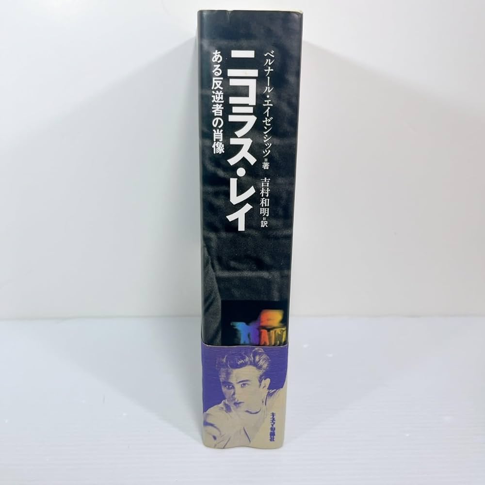 ニコラス・レイ: ある反逆者の肖像 | ベルナール エイゼンシッツ