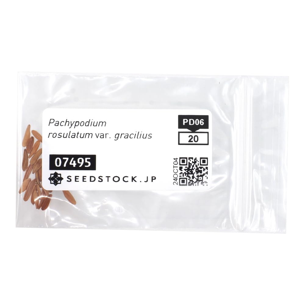 Amazon.co.jp: SEEDSTOCK パキポディウム グラキリス 種子 20粒売り