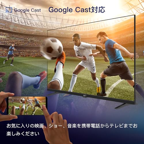 FPD - チューナーレステレビ 43V型 4K Google TV (CG43-C2 2024年