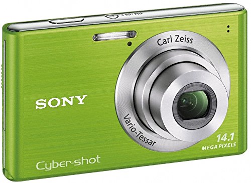 Amazon.co.jp: Sony Cyber-Shot Digital Camera W550 (14.1 Megapixel