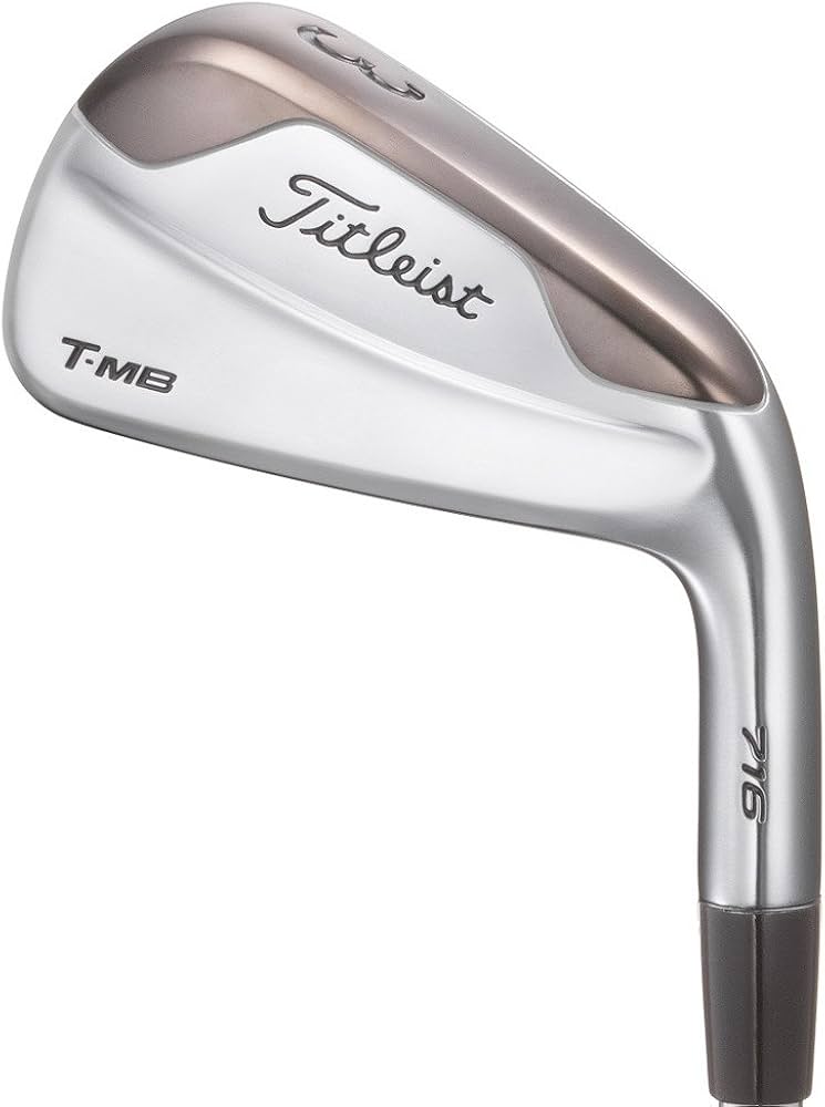 Amazon.co.jp: TITLEIST(タイトリスト) 15 T-MB 716アイアン NSプロ