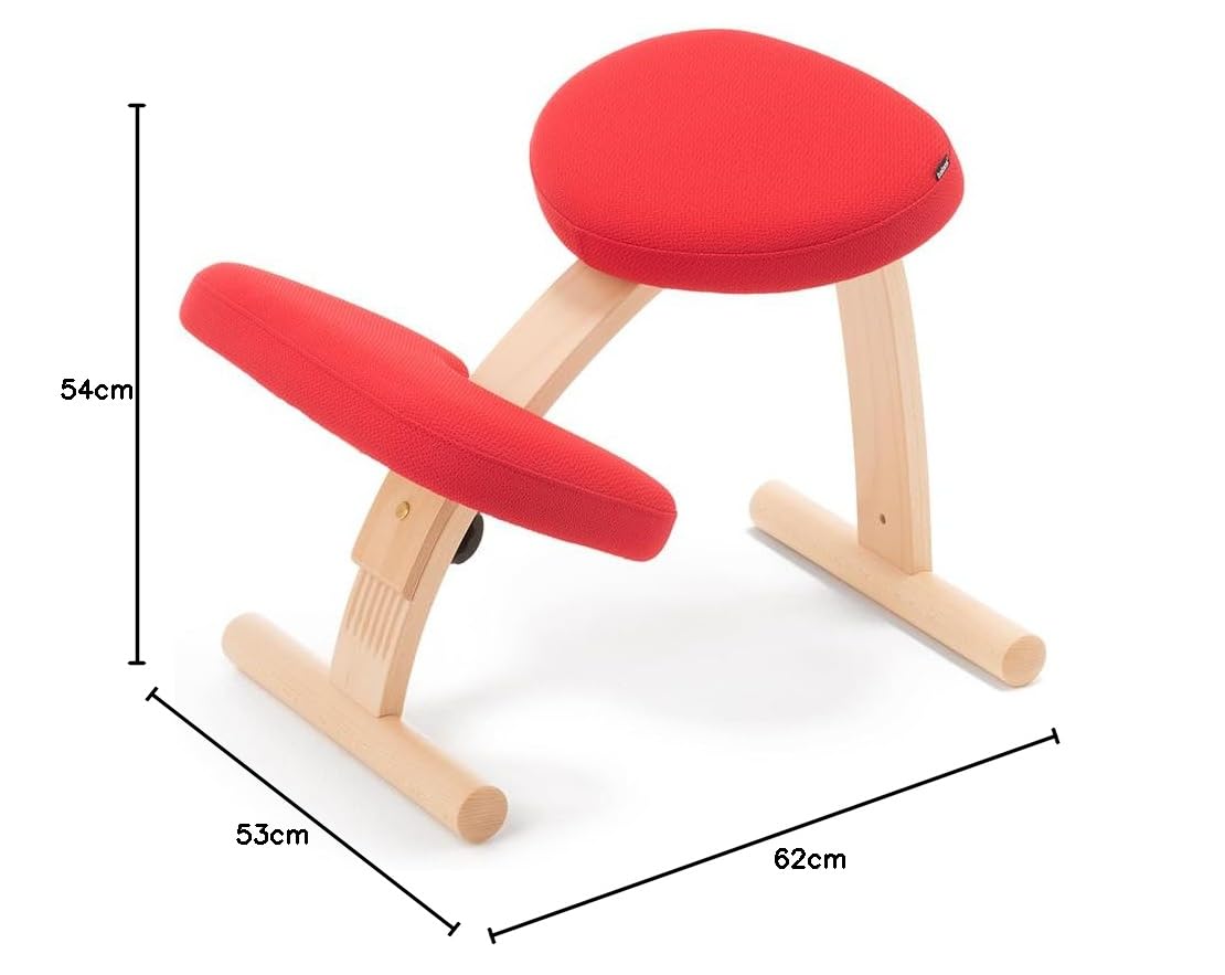 バランスイージー ショートフレーム カバー付き 【公式通販】