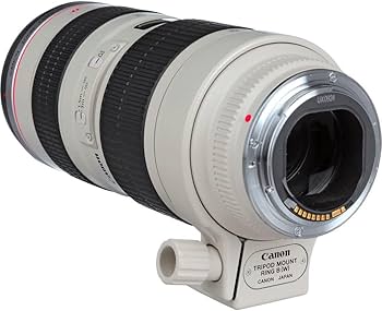 Amazon.com : Canon EF 70-200mm f/2.8L USM Lens (2569A004) + Filter
