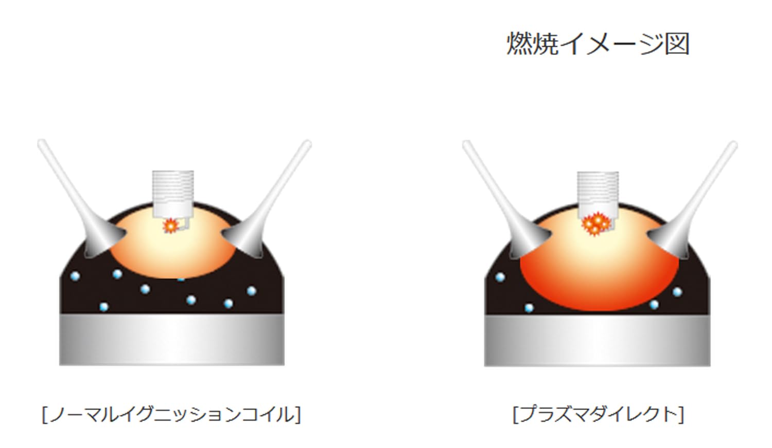 Amazon | OKADA PROJECTS(オカダプロジェクツ) プラズマダイレクト