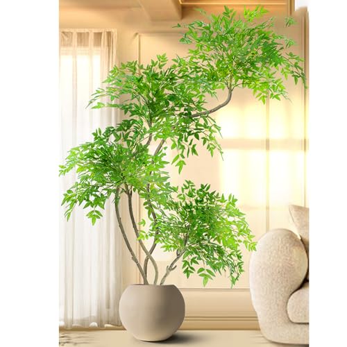 ヤシ の木」の人気商品一覧 | 安い商品を通販サイトから探す - 価格.com