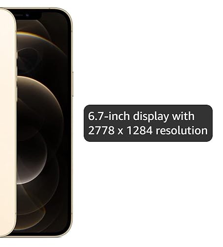 Amazon.com: Apple iPhone 12 Pro Max 5G, US Version, 256GB, Gold