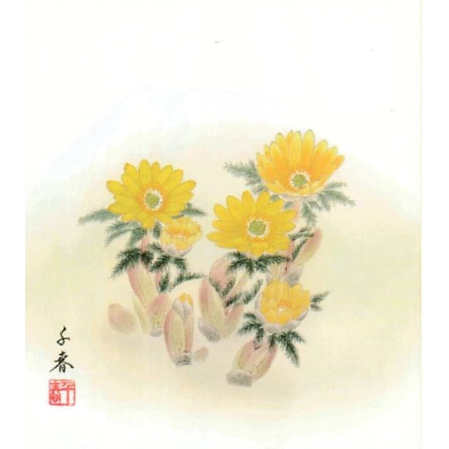 油絵 菅家令子 絵 絵画 インテリア 額付(黒) F4-091416 花 福寿草 油絵