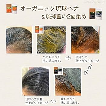 Amazon | オーガニック琉球ヘナ 粉末 100g ×1パック | 琉球ヘナ | ヘナ