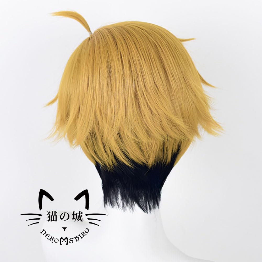Amazon.co.jp: 猫の城 宮侑 コスプレウィッグ 耐熱 かつら アニメ 仮装