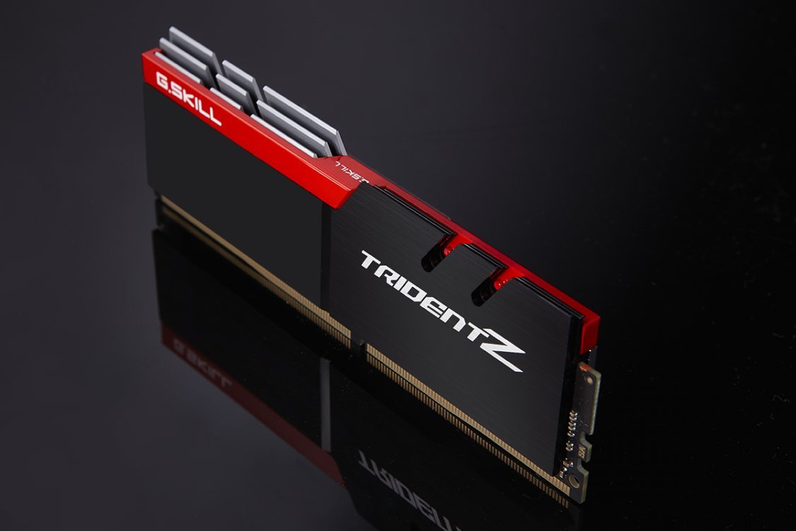 G.SKILL TridentZ Series F4-3600C16D-16GTZ 16 GB (8 GB x 2) DDR4