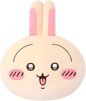 51gSBPKlYoL._AC_UF350,