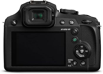 Amazon.com : Panasonic Lumix DC-FZ80D / DC-FZ85D Digital Camera