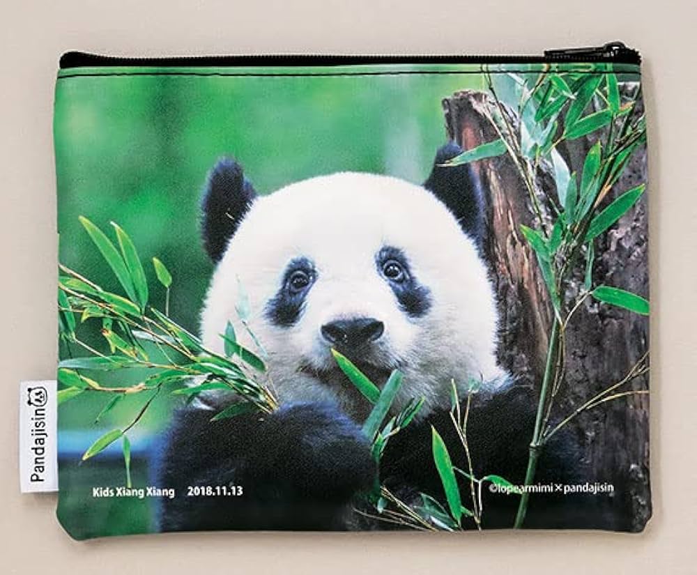 パンダ自身 初号〜7号 まとめ売り パンダ自身 初号〜7号 まとめ売り