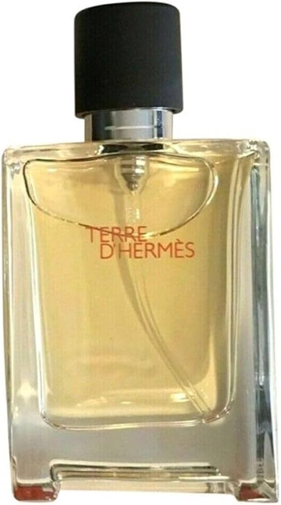 Amazon.com : Hermes Terre D'hermes Eau De Toilette Spray for Men