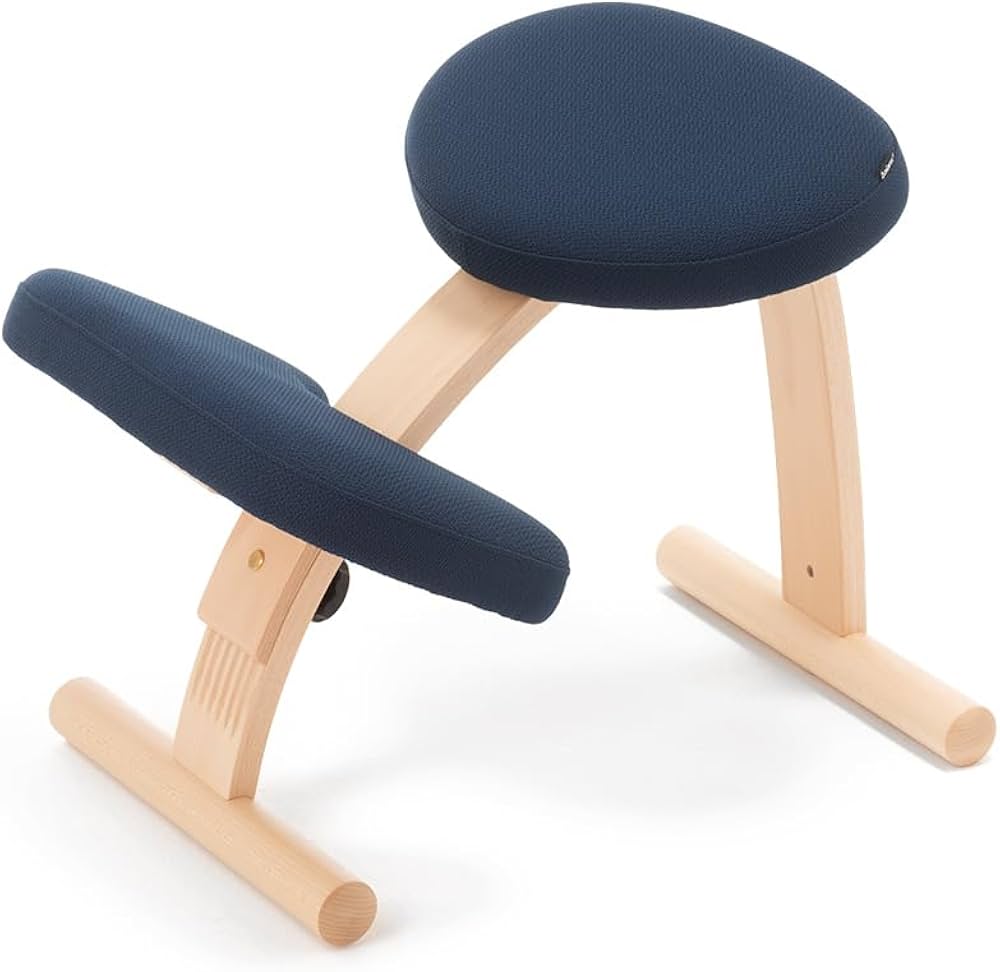 Amazon.co.jp: バランスラボ バランスイージー ショートフレーム 通常