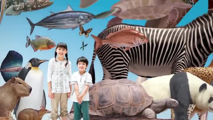 Amazon.co.jp: [新版]くらべる図鑑 (小学館の図鑑 NEO+プラス) : 加藤