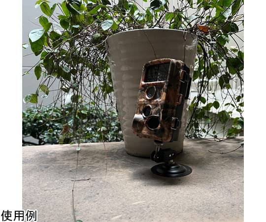 Amazon.co.jp: 富士倉(Fujikura) トレイルカメラ FTC-002 : 家電＆カメラ