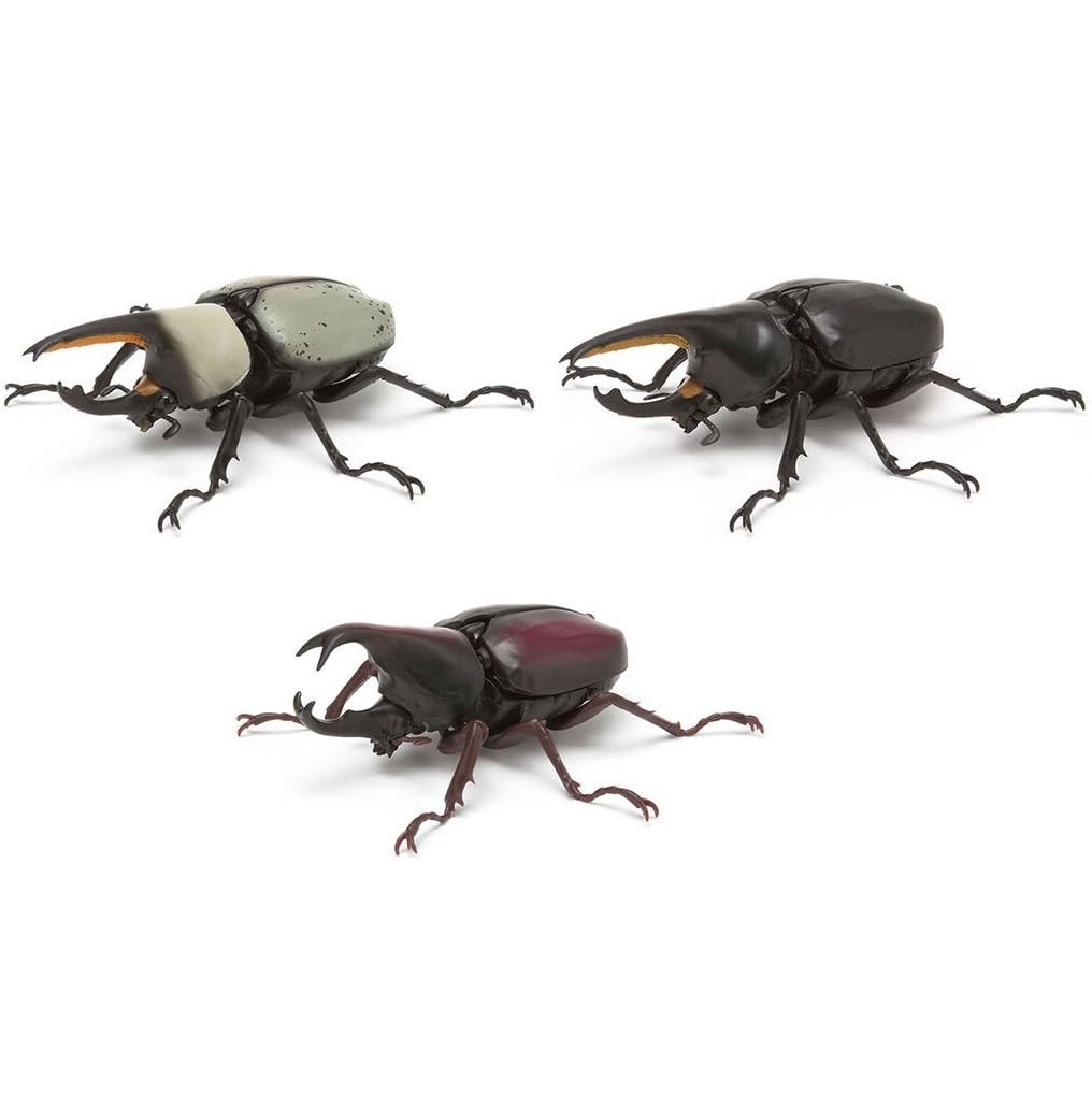 O*ん様 オーストラリアの ムカシタマムシ 3種セット オーストラリアの