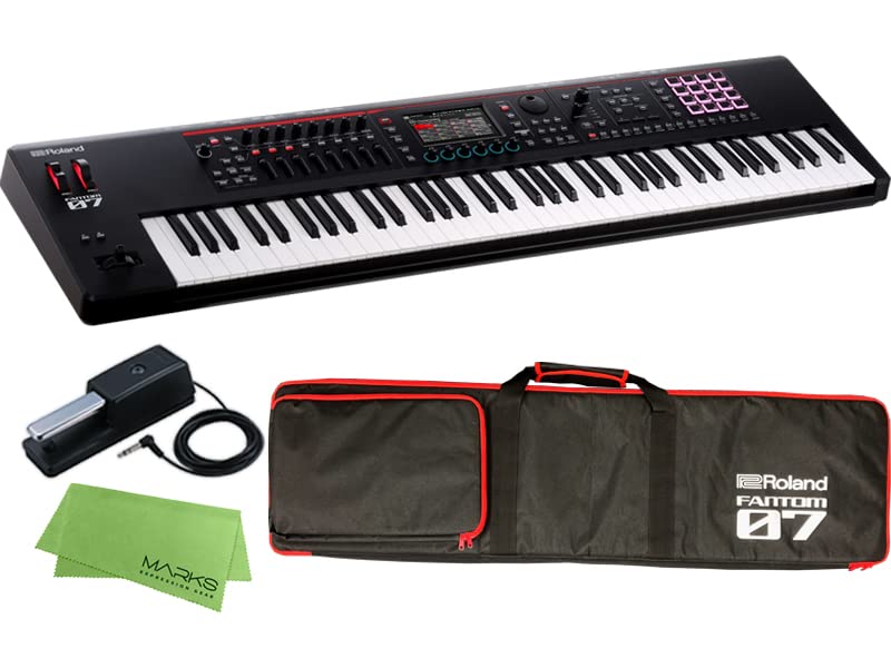 Amazon.co.jp: 【専用ソフトケース + DP-10 セット】Roland ローランド