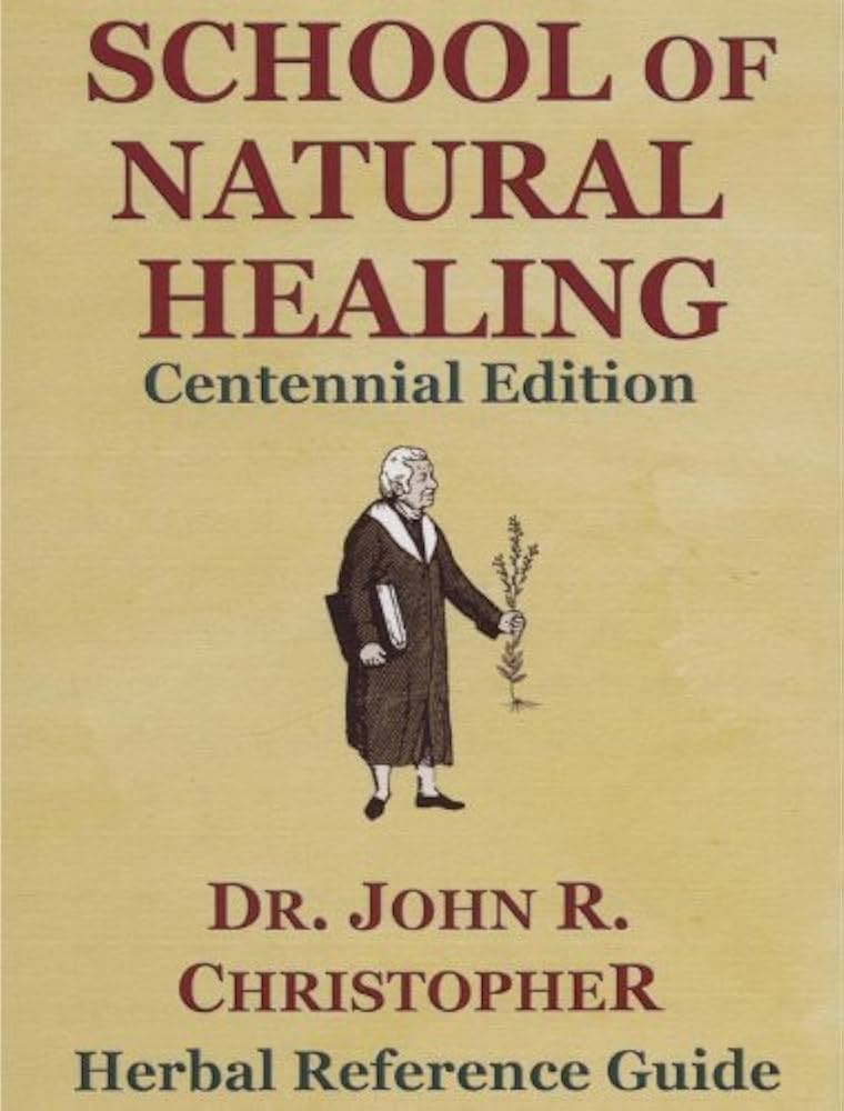 51kamXY9ugL._AC_UF1000,