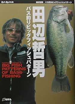 51m80dBDlWL._AC_UF350,