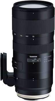 Amazon.co.jp: Tamron 70 – 200 mm f / 2.8 Di VC USD SP g2レンズ