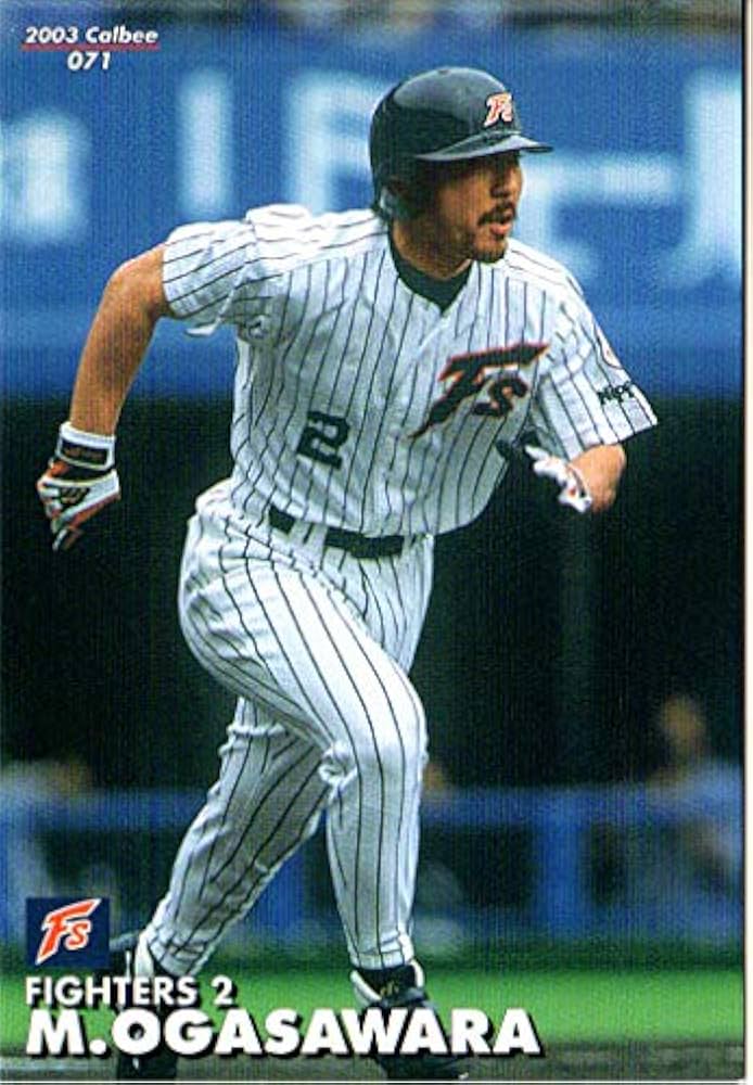 Amazon.co.jp: カルビー2003 プロ野球チップス 第一弾 レギュラー