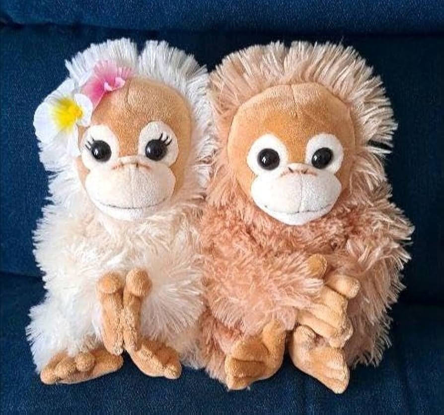 Amazon.co.jp: ＊ ベイビーココナツ ぬいぐるみセット : おもちゃ