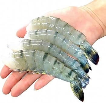 Amazon.co.jp: 【当店直輸入】活〆ブラックタイガー 特大サイズ 約64本