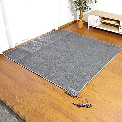 Amazon | D・SERIES 電気カーペット2畳 本体 176×176cm + カバーセット