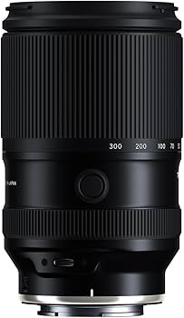 Amazon.com : Tamron 28-300mm F/4-7.1 Di III VC VXD for Sony E