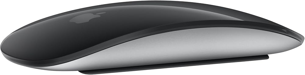 Apple Magic Mouse - Black Multi-Touch Surface ​​​​​​​ : Amazon.ca