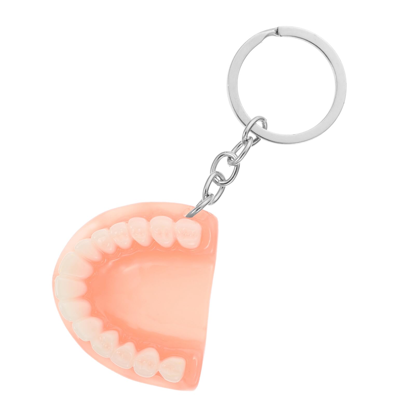 Amazon | MUCKLILY 1個 義歯キーホルダー キーペンダントチャーム