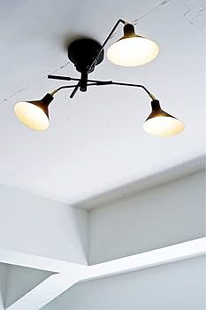 Amazon.co.jp : インターフォルム シーリングライト LT-9520BK ロネ