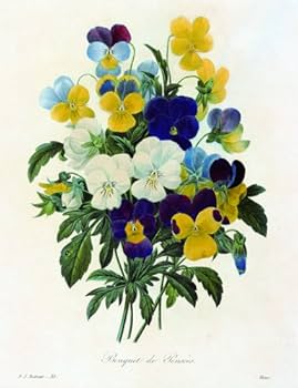 Amazon.co.jp: 美花選 : ピエール=ジョゼフ・ルドゥーテ: 本