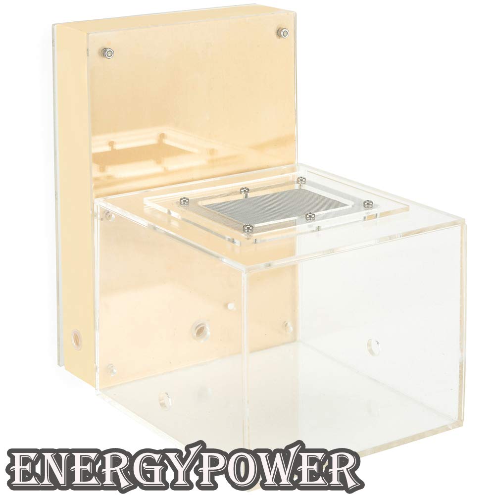 Amazon | EnergyPower アリ飼育キット 石膏製巣箱 大型 アリ活動