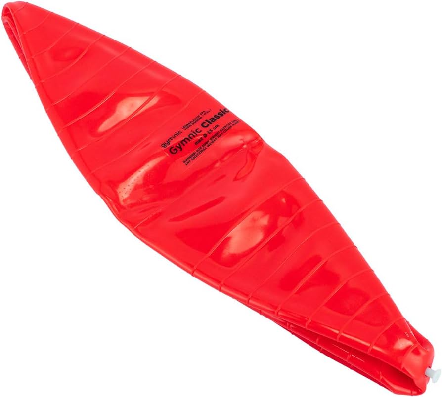 Amazon.co.jp: [ ギムニク ] Gymnic バランスボール 55cm Gymnic